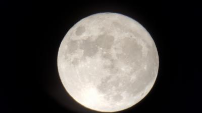 1500_71ff748fa531e6c5bdbb0e74c.jpg